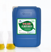 工業探花91在线观看